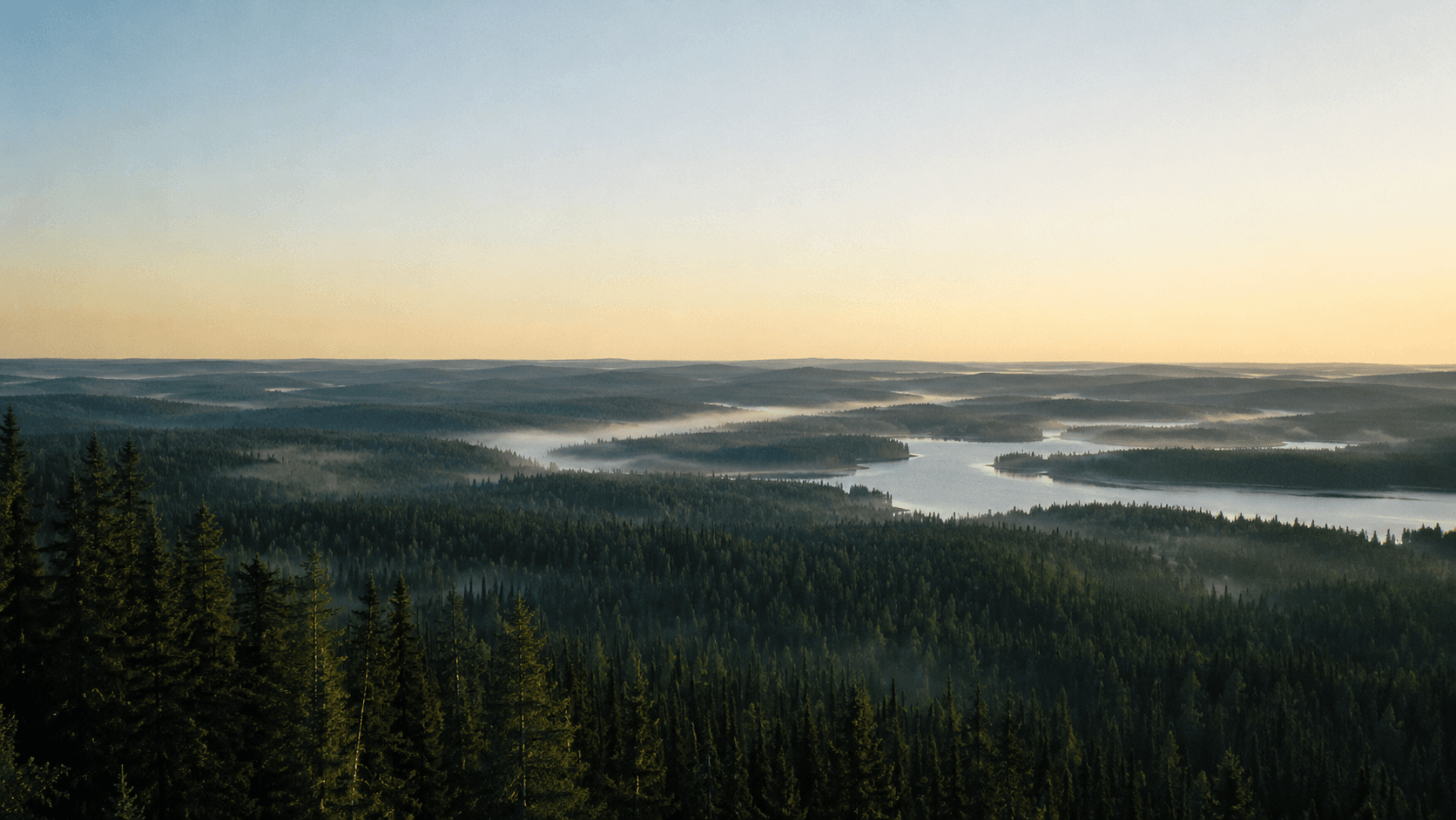 Boreal northern forest carbon storage
