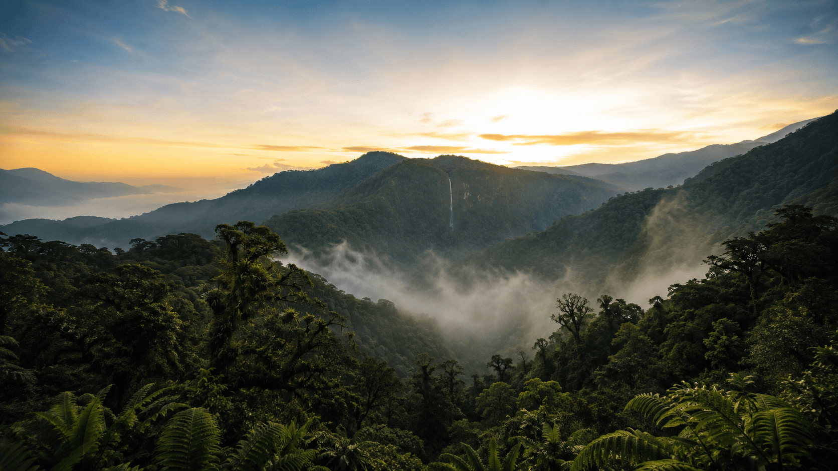 Andean cloud forest biodiversity and carbon project